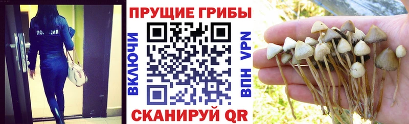 Псилоцибиновые грибы мухоморы  Вилючинск 