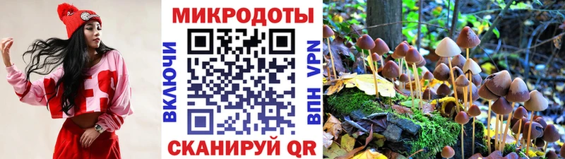 Галлюциногенные грибы мухоморы Вилючинск